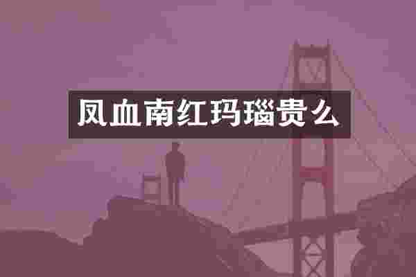 凤血南红玛瑙贵么