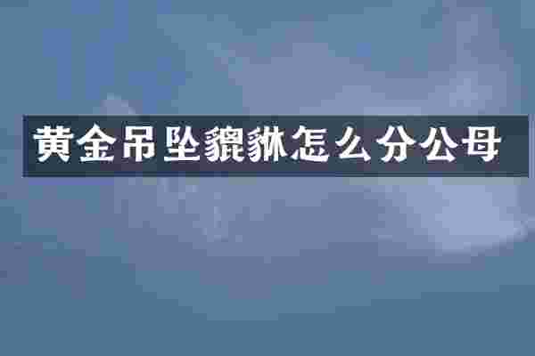 黄金吊坠貔貅怎么分公母