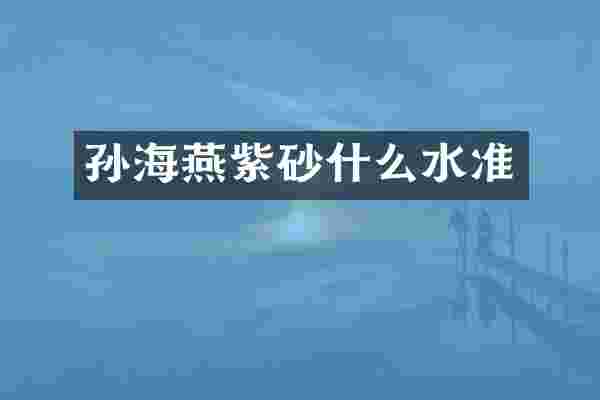 孙海燕紫砂什么水准