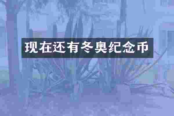 现在还有冬奥纪念币