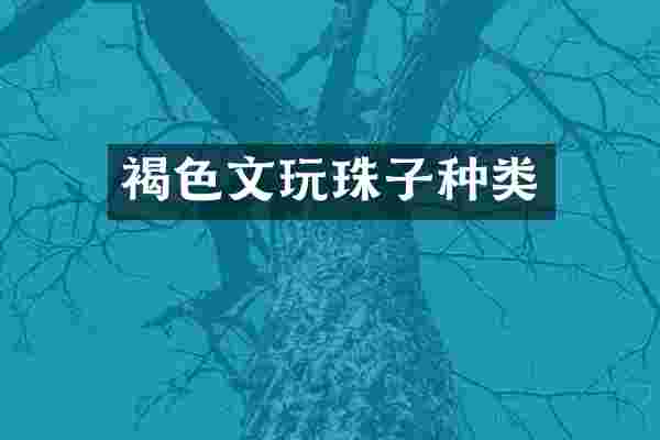 褐色文玩珠子种类