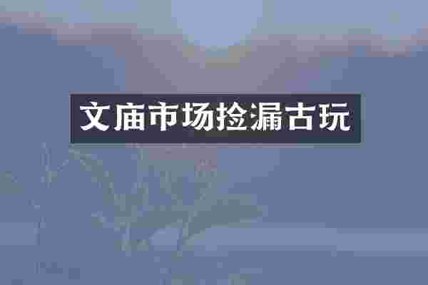文庙市场捡漏古玩