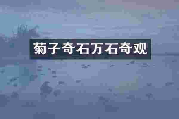 菊子奇石万石奇观