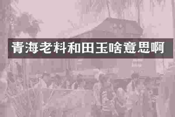 青海老料和田玉啥意思啊