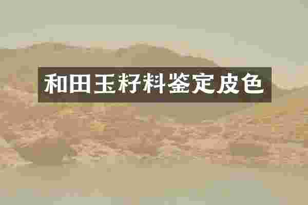 和田玉籽料鉴定皮色