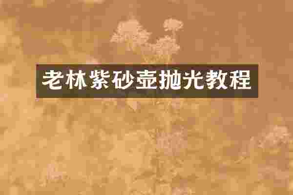老林紫砂壶抛光教程
