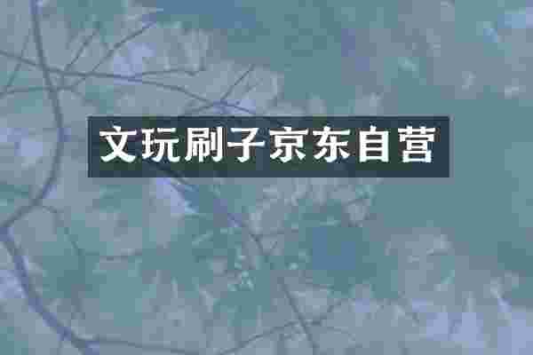 文玩刷子京东自营