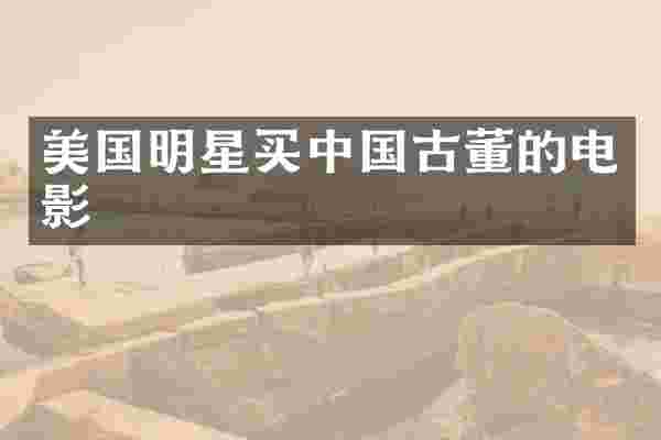 美国明星买中国古董的电影