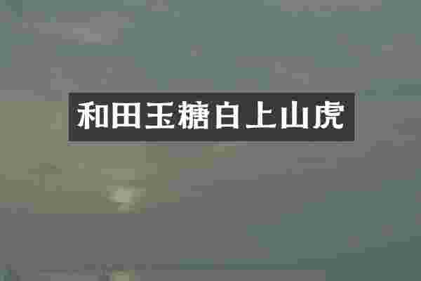 和田玉糖白上山虎