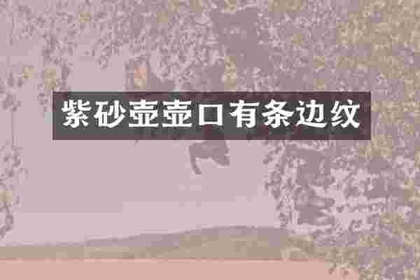 紫砂壶壶口有条边纹