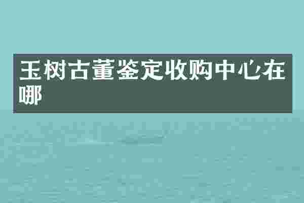 玉树古董鉴定收购中心在哪