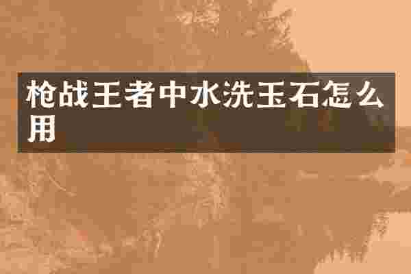战王者中水洗玉石怎么用