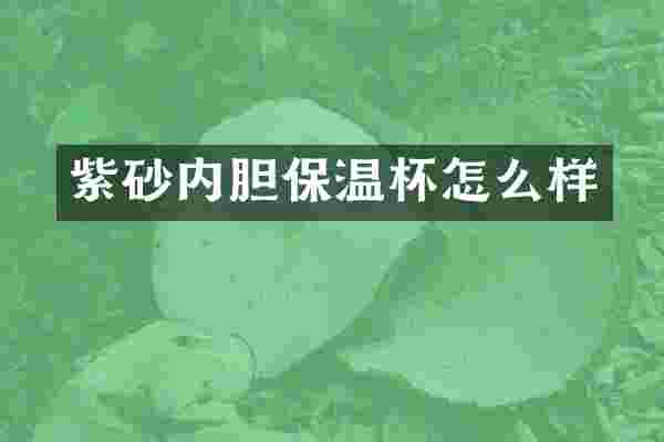 紫砂内胆保温杯怎么样
