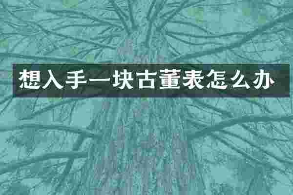 想入手一块古董表怎么办