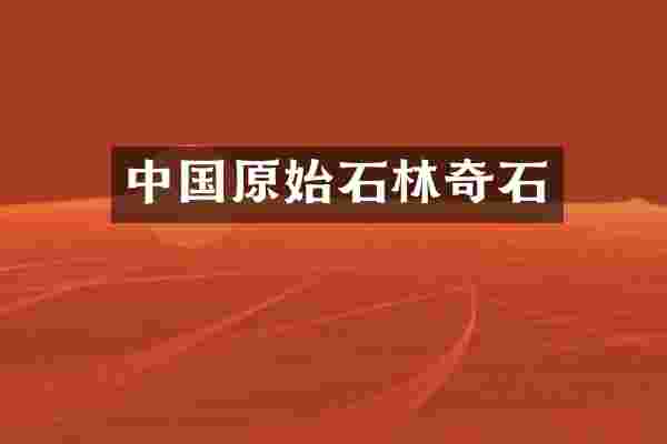 中国原始石林奇石