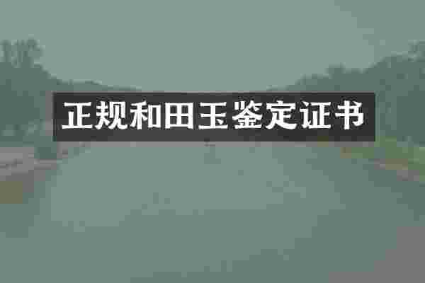 正规和田玉鉴定证书