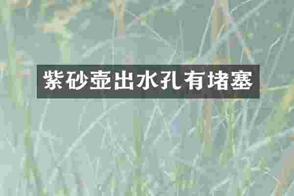 紫砂壶出水孔有堵塞