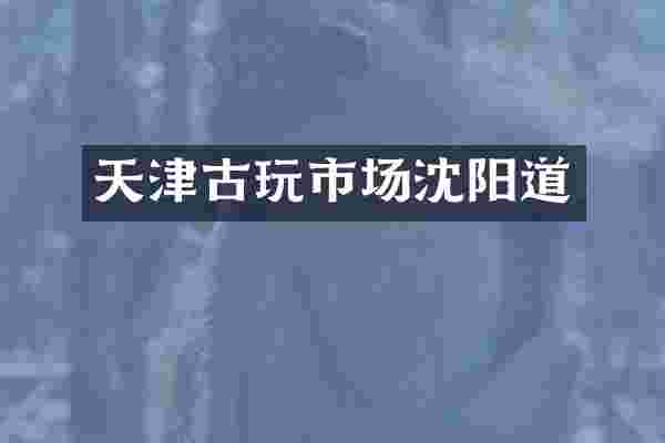 天津古玩市场沈阳道