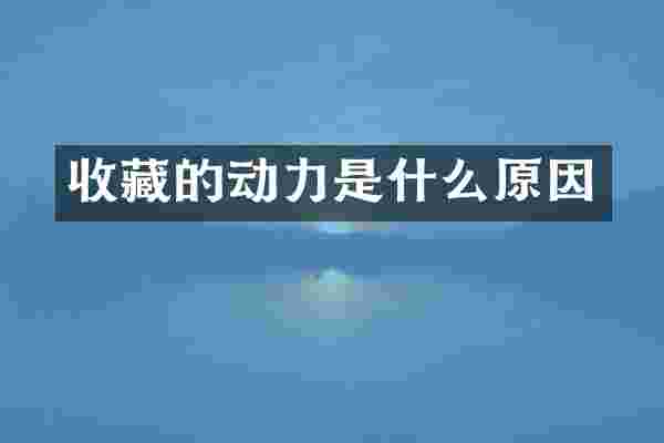 收藏的动力是什么原因