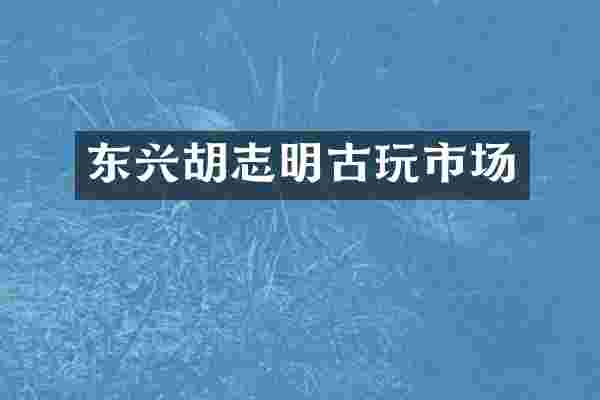 东兴胡志明古玩市场