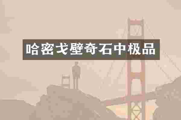 哈密戈壁奇石中极品