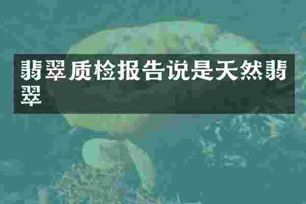 翡翠质检报告说是天然翡翠
