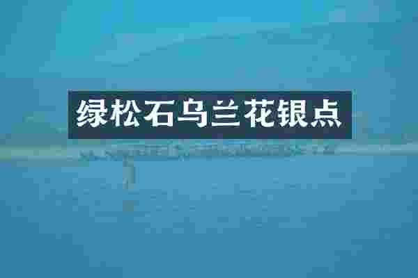 绿松石乌兰花银点