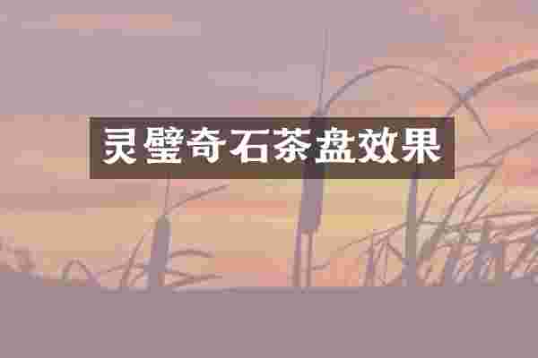 灵璧奇石茶盘效果