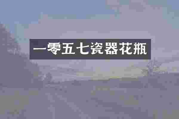一零五七瓷器花瓶