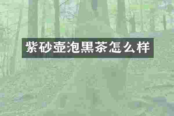 紫砂壶泡黑茶怎么样