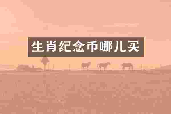 生肖纪念币哪儿买
