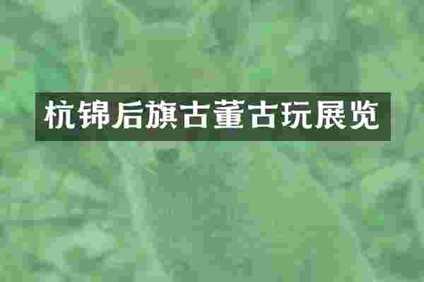 杭锦后旗古董古玩展览