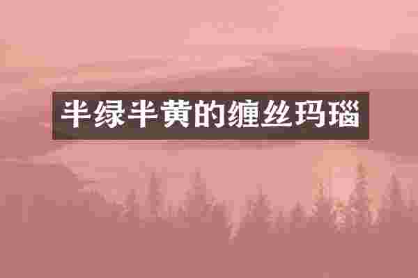 半绿半黄的缠丝玛瑙