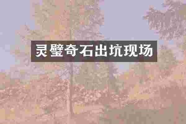 灵璧奇石出坑现场
