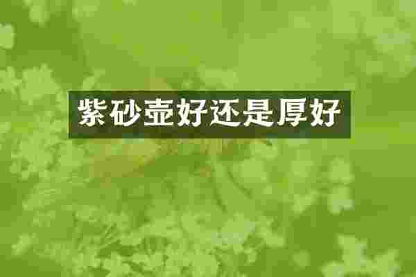 紫砂壶好还是厚好