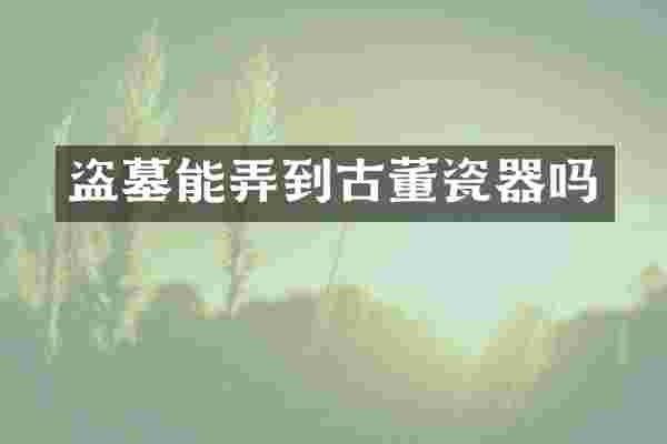 盗墓能弄到古董瓷器吗