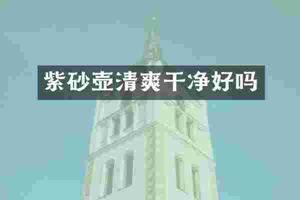 紫砂壶清爽干净好吗