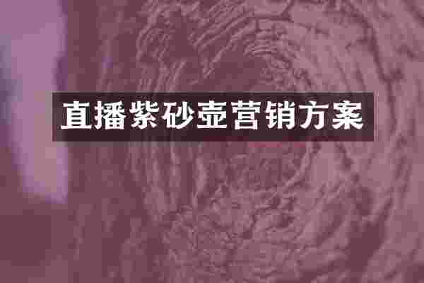 直播紫砂壶营销方案