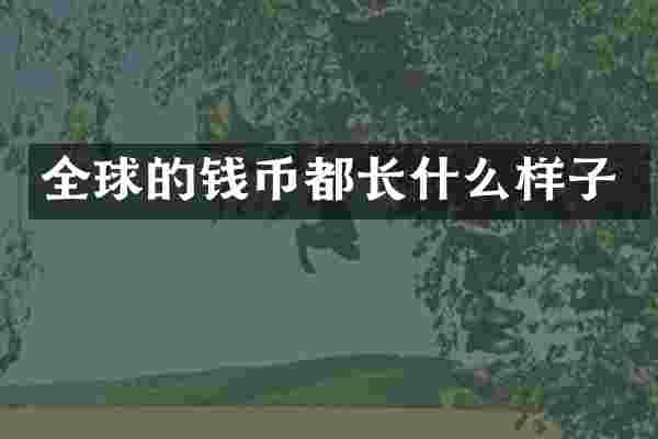 全球的钱币都长什么样子
