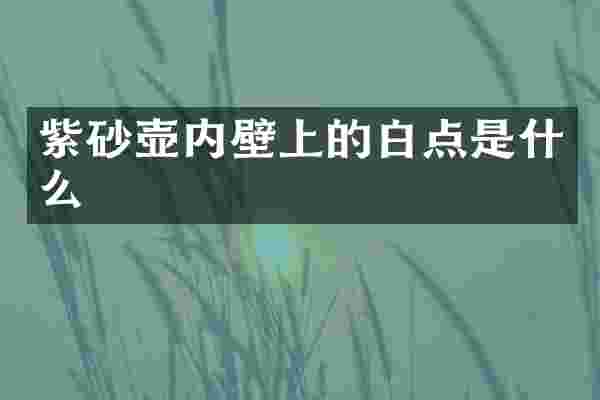 紫砂壶内壁上的白点是什么