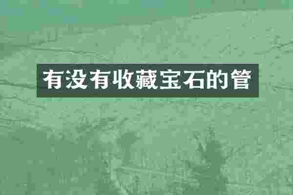 有没有收藏宝石的管