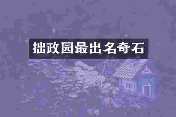 拙政园最出名奇石