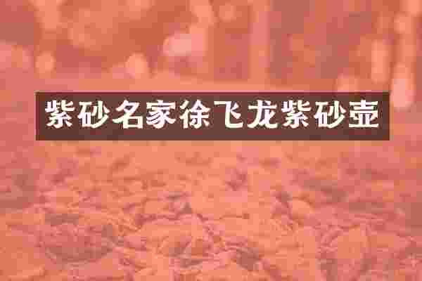 紫砂名家徐飞龙紫砂壶