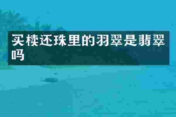 买椟还珠里的羽翠是翡翠吗