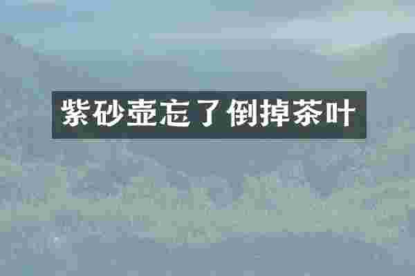 紫砂壶忘了倒掉茶叶