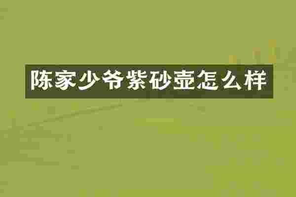 陈家少爷紫砂壶怎么样