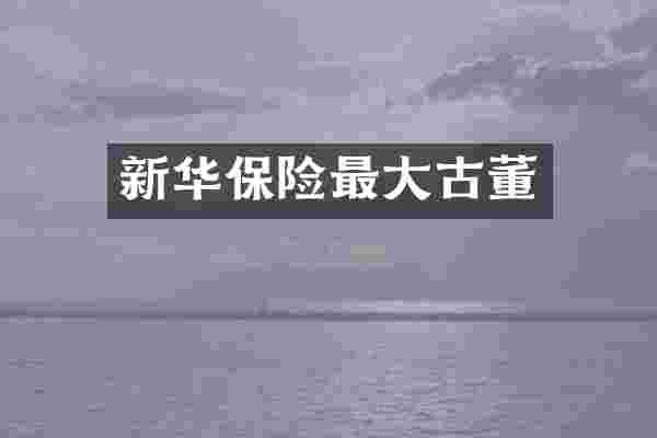 新华保险最大古董