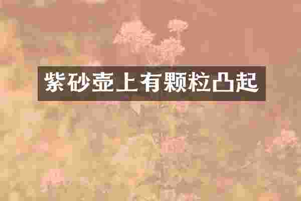 紫砂壶上有颗粒凸起