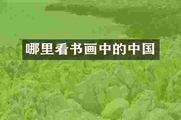 哪里看书画中的中国