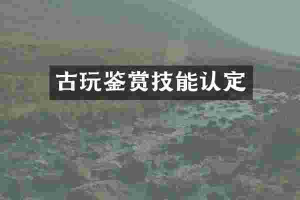 古玩鉴赏技能认定